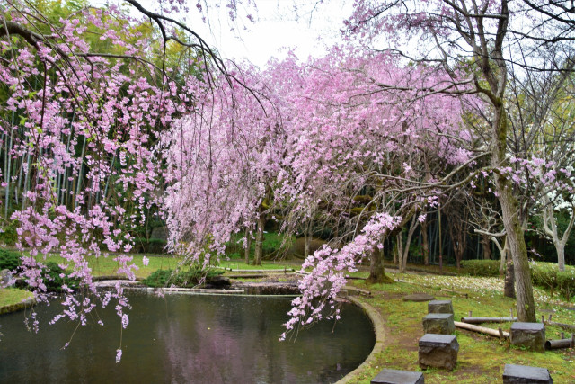 荒井城址公園【真鶴町】